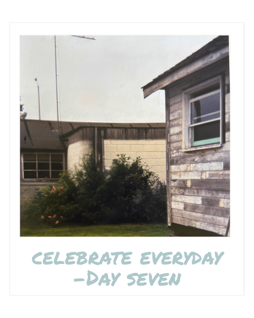 Celebrate Every Day — Day&nbsp;Seven