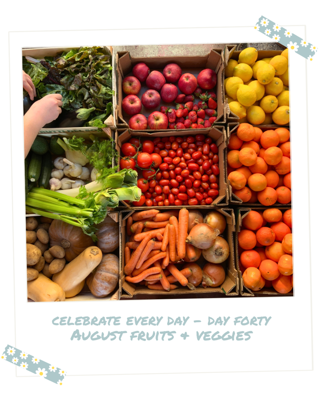 Celebrate Every Day — Day&nbsp;Forty