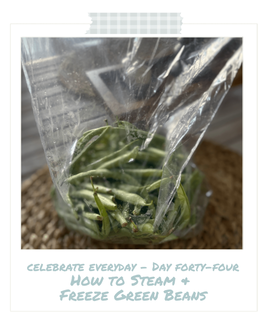 Celebrate Every Day — Day Forty-&nbsp;Four